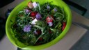 Salat mit Schnittlauchblüten, Rucola und Erdbeeren