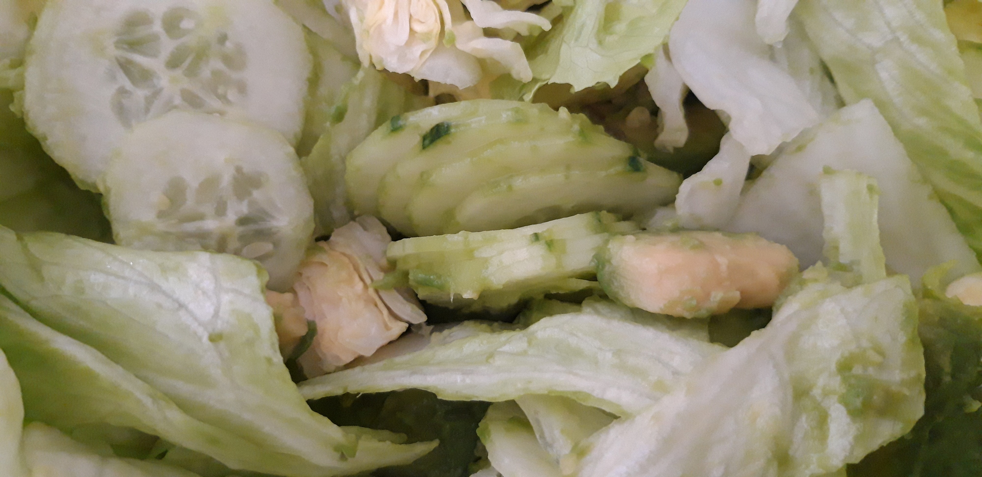 Grüner Salat mit Gurke und Avocado — Kilopurzel